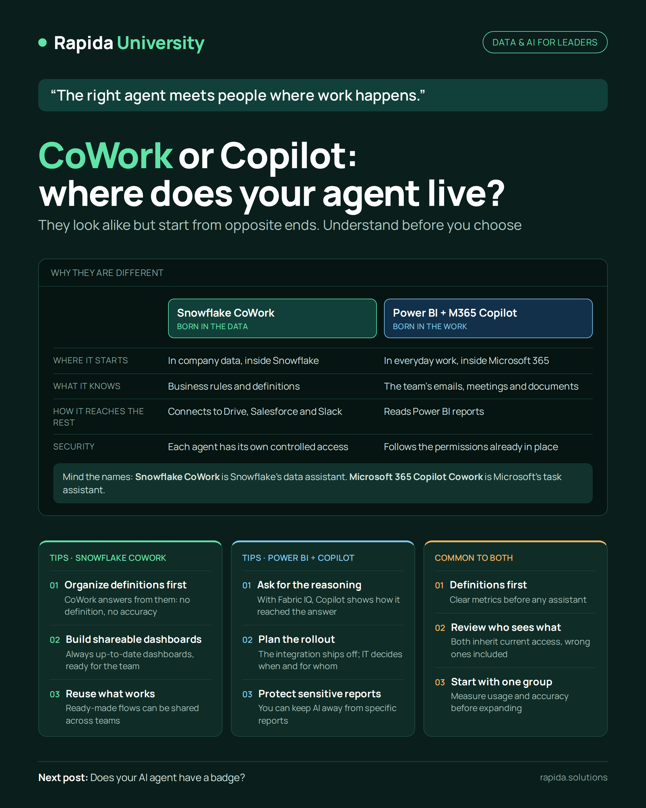 CoWork or Copilot?
